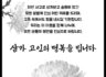안타까운 무안공항 항공기 사고, 깊은 위로와 함께 희생자들을 추모하며